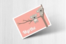 Kleine koalabeertjes